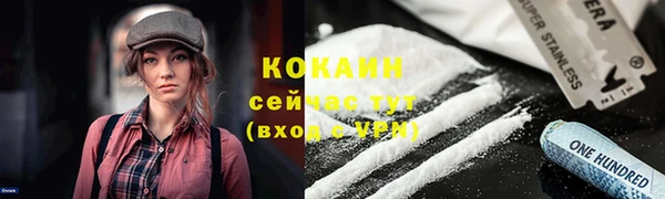 соль ск Сосновый Бор