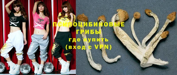соль ск Сосновый Бор
