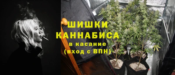 соль ск Сосновый Бор