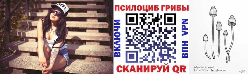 Псилоцибиновые грибы ЛСД где купить наркотик Нововоронеж